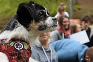 Wybory Kundelka Roku 2019 na Polance Redłowskiej // fot. Magdalena Czernek