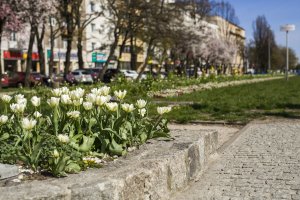 Róg ul. 10 lutego i Skweru Kościuszki