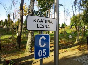 Kwatera leśna ma zielone podłoże, jest otoczona drzewami, a nagrobki to... głazy narzutowe, fot. Zarząd Cmentarzy Komunalnych w Gdyni