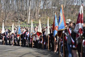 Cmentarz Obrońców Wybrzeża w Redłowie // fot. Lechosław Dzierżak