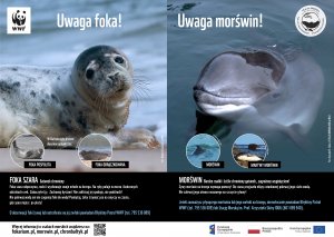 Błękitna Tablica WWF