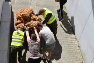 Ziemniaki rozładowali żołnierze z pomocą pracowników Gdyńskiego Centrum Sportu // fot. Sławomir Okoń, UM Gdynia
