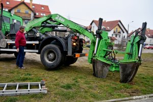 Przesadzone drzewa staną się elementem powstającego parku // fot. Paweł Kukla