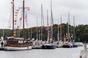 Żaglowce w marinie w Gdyni