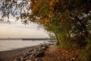 Barwy jesieni. Gdynia Orłowo // fot. Karol Stańczak 