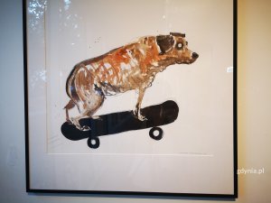 Wystawa „Pies z Ciapkowa” // fot. Karolina Szypelt