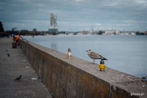 Oddali hołd tym, co odeszli na wieczną wachtę // fot. Dawid Linkowski