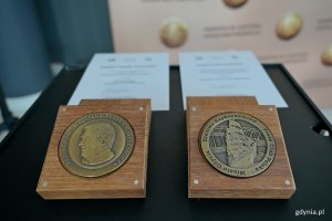 Nagroda im. Kapitana Leszka Wiktorowicza w postaci medalu