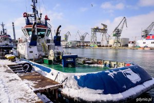 Gdyński port od kuchni // fot. Dawid Linkowski