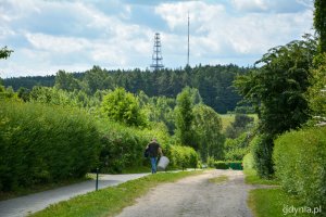 Piękno gdyńskich ogrodów działkowych, czyli wakacje na RODos // fot. Paweł Kukla