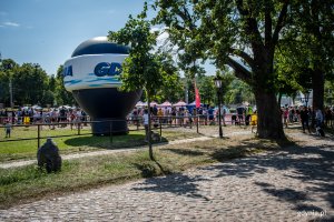 W parku Kolibki w Gdyni trwają ogólnopolskie zawody „Latających Psów” // fot. Dawid Linkowski