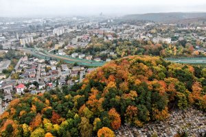 Miejsce gdzie leśny odcinek Trasy Kwiatkowskiego łączy się z Estakadą. Drzewa we wszystkich kolorach jesieni // fot. Michał Puszczewicz