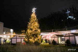 Choinka na placu Grunwaldzkim // fot. Karol Stańczak