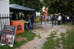 Otwarcie wybiegu na ul. Tucholskiej (Oksywie/Obłuże)