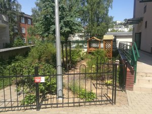 Zielony zakątek na terenie Szpitala Morskiego im. PCK w Gdyni // fot. Szpitale Pomorskie