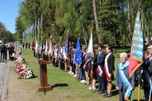 Poczty sztandarowe ustawione w rzędzie podczas uroczystości z okazji 81. rocznicy zakończenia II wojny światowej oraz uwolnienia ostatnich więźni&oacute;w niemieckiego nazistowskiego obozu koncentracyjnego Stutthof 