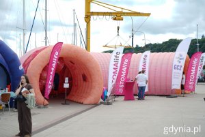 Makieta 3D jelita grubego podczas Gdynia Sailing Gdynia (fot. Magdalena Starnawska)