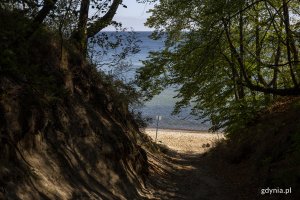 Plaża na Oksywiu // Fot. Przemysław Kozłowski