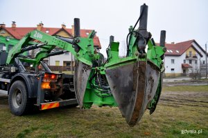 Przesadzone drzewa staną się elementem powstającego parku // fot. Paweł Kukla