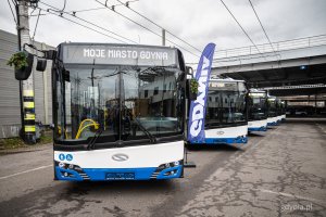 Sześć nowych trolejbus&oacute;w marki Solaris dla PKT w Gdyni (fot. Kamil Złoch)