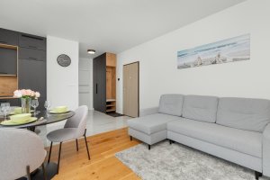 Salon z aneksem kuchennym w mieszkaniu św. Piotra 6B/135