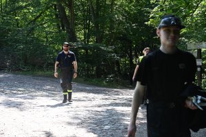ludzie chodzą po lesie