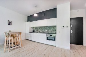 Wynajem apartamentów Sun and Snow, ul. Spacerowa 31/2, widok na aneks kuchenny