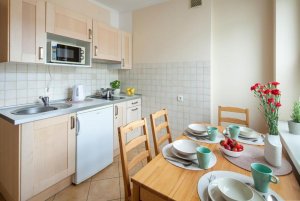 Kuchnia w obiekcie noclegowym Sleep3city Śląska 31/9