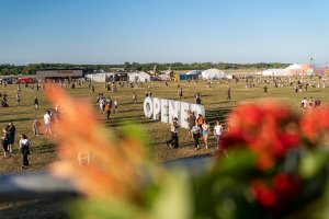 Widok na przestrzeń festiwalową z napisem Open'er. Na pierwszym planie kwitnące kwiaty // fot. Magda Zaklika