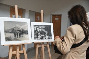 Kobieta z długimi włosami podziwia zdjęcia