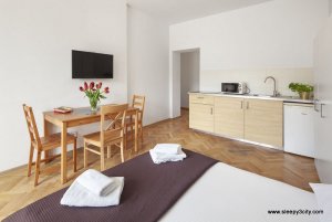 Jeden z apartamentów Sleepy3city, salon z aneksem kuchennym