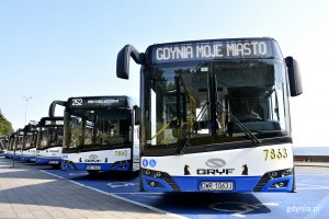 Prezentacja nowych midibusów na skwerze Arki Gdynia, fot. Kamil Złoch