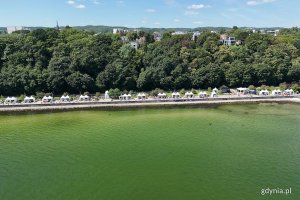 Trwa Plener Literacki w Gdyni (fot. Michał Puszczewicz)