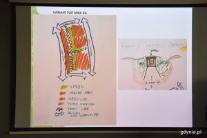 Specjaliści przedstawili koncepcje zazieleniania Gdyni // fot. Justyna Bronk