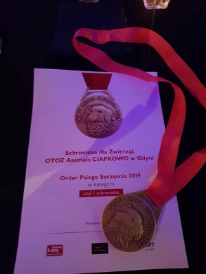 Ciapkowo wyróżnione Orderem Psiego Szczęścia // fot. www.facebook.com/ciapkowo/