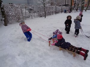 Zabawy na śniegu w Przedszkolu numer 11 pod Kasztanami w Gdyni // fot. Przedszkole nr 11
