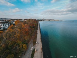 Po lewej stronie drzewa, po środku – bulwar, a po prawej – morze widziane z góry // fot. Marcin Mielewski