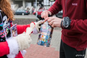 Niedzielny finał WOŚP w Gdyni, fot. Karol Stańczak