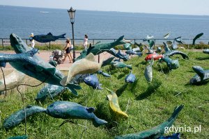 na zdjęciu wyrzeżbione rybki w trawie nad morzem
