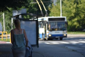 Zmodernizowany zostanie m.in. przystanek Kameliowa na Dąbrowie // fot. Lechosław Dzierżak