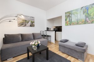 Apartament Batorego 22/21, widok na salon z aneksem kuchennym