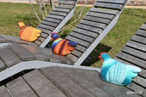 Wesoł&euml;ch Jastr&oacute;w! (fot. Adrianna Jask&oacute;łka)