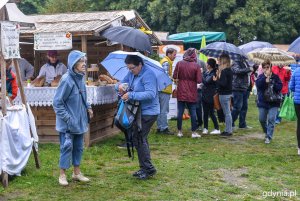 Piknik i targi „Dary Ziemi” w Gdyni // fot. Przemek Świderski