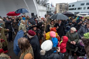 Sadzenie drzew na Kamiennej Górze 