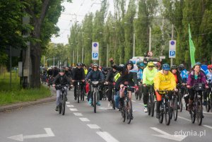 Trasa wiodła przez Aleję Zwycięstwa, żeby płynnie przejść w sopocką Aleję Niepodległości, Drogę Zieloną, Łokietka i zakończyć się finałem imprezy w Parku Sopockie Błonia 
