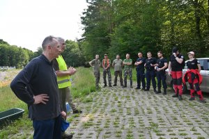 ludzie chodzą po lesie