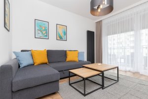 Apartament Benisławskiego 8, salon