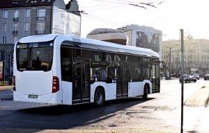 Akcja promocyjna PKA w Gdyni i Mercedesa z okazji tłustego czwartku. (fot. Kamil Złoch)