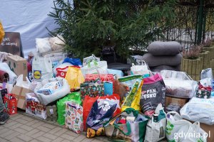 Prezenty dla zwierząt zostawione pod choinką