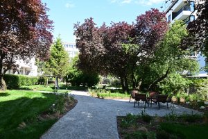 Przed Szkołą Podstawową nr 21 oko cieszy ogr&oacute;d stworzony w ramach Budżetu Obywatelskiego 